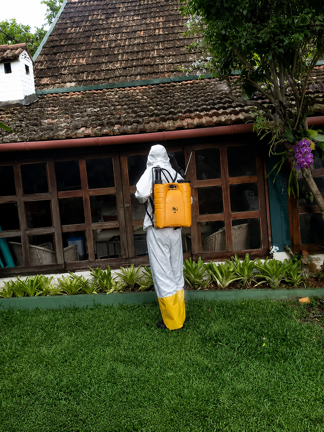 Controle de infestações em jardins